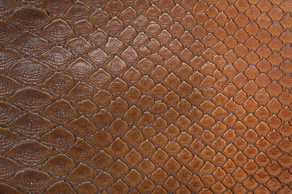 Змеиная Кожа Текстура Фона Фон Рисунка Кожи Вид Сверху — стоковое фото