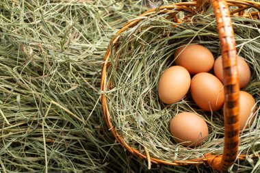 Saman dolu bir sepette tavuk yumurtası. Tarım kavramı