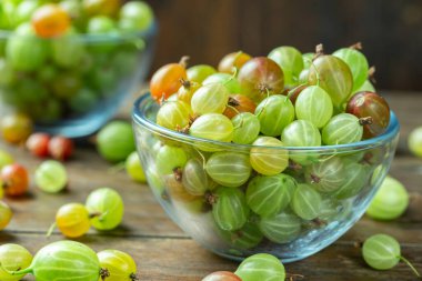 Cam bir tabakta olgun bektaşi üzümü, yazı koyacak yer, üst manzara, yaz hasadı böğürtlen. Ev yapımı lezzetli ve sağlıklı dut hasadı.