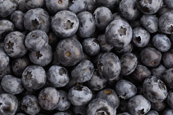 Superficie Está Cubierta Con Una Gruesa Capa Arándanos Cultivos Pantanos — Foto de Stock