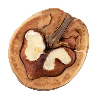 Ceviz, kırpma yolu ile beyaz arka planda izole yakın çekim. Fındık makrosu. Tam alan derinliği.