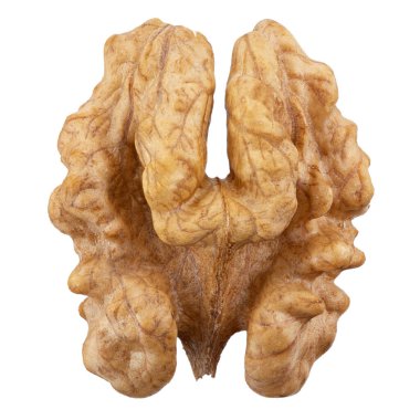 Ceviz çekirdeği. Fındık beyazda izole edilmiş. Dosya kırpma yolu içeriyor. 