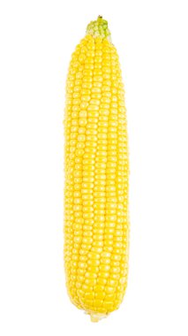 Beyaz arka planda izole edilmiş tatlı mısır. Dosya kırpma yolu içeriyor. Tarım konsepti. Tahıl hasadı.