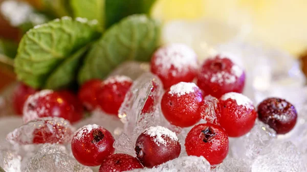 Frischer Cocktail Hintergrund Kontrastierende Preiselbeeren Und Minze Auf Dem Hintergrund — Stockfoto