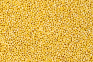 Cilalanmış darı dokusu ve geleneksel yemekler. Sağlıklı haşlanmış yulaf lapası. Üst görünüm