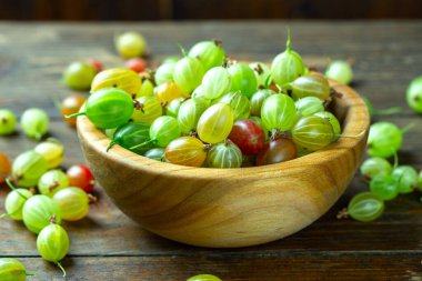 Tahta tabakta olgun bektaşi üzümü, yazı koyacak yer, üst manzara, yaz hasadı böğürtlen