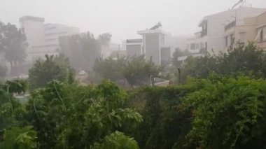 Yaz Yağmurlu Günü. Şiddetli yağmur ve şehirde şiddetli rüzgar..