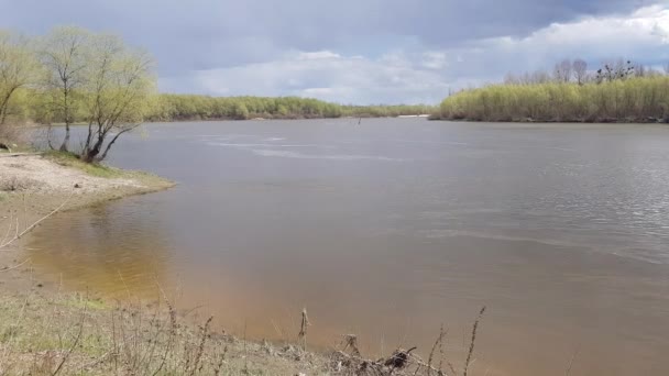 Fluss Desna im Kiewer Gebiet Ukraine. — Stockvideo