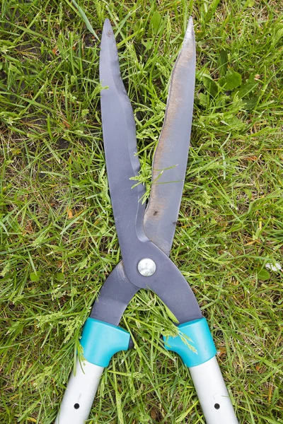 Nożyce ogrodowe — Zdjęcie stockowe