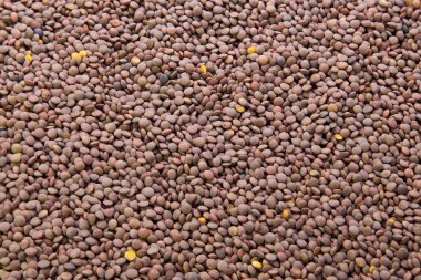 Yukarıdan ham mercimek görünümü