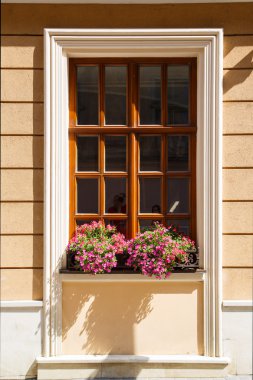 Çiçekli pencere