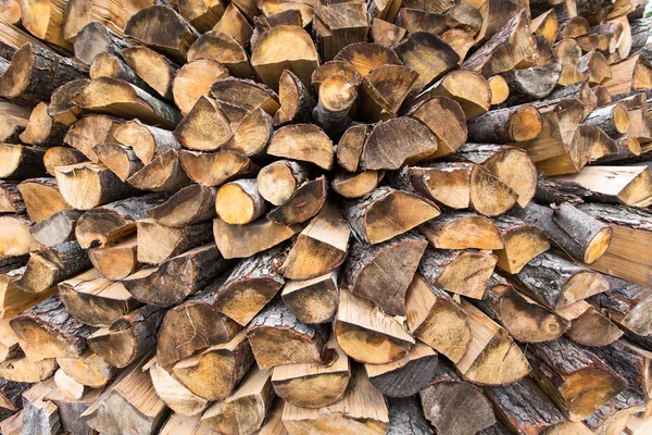 Firewood, birch, oak, pine — Stock Photo, Image