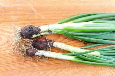 Masada yeşil soğan