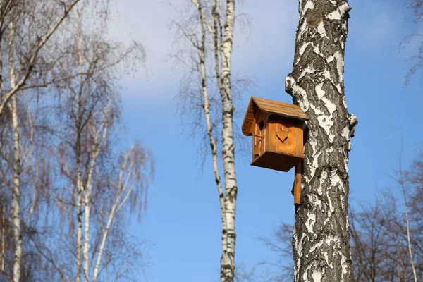 Birdhouse en el bosque de abedules —  Fotos de Stock
