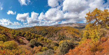 Sonbaharda Serrania de Ronda dağlarının ve kestane ormanlarının panoramik manzarası. İspanya 'nın Malaga kentindeki Parauta, Cartajima ve Igualeja köylerinin çevresindeki güzergah, manzara.