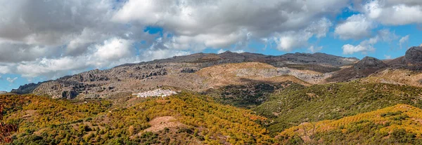 Panoramiczny Widok Góry Serrania Ronda Kasztanowy Las Jesienią Trasa Trekkingowa — Zdjęcie stockowe