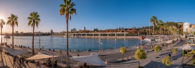 Malaga, İspanya. Kasım 2020 dolaylarında. Güneşli bir günde 