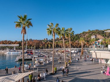 Malaga, İspanya. Kasım 2020 dolaylarında. Güneşli bir günde 