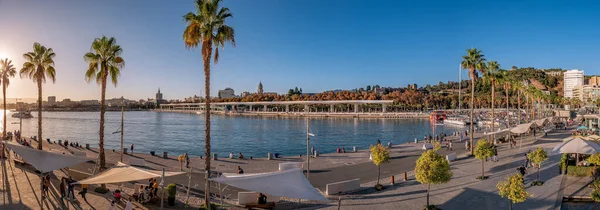 Malaga, İspanya. Kasım 2020 dolaylarında. Güneşli bir günde 