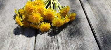 Köy tahtasında duran bir buket taze sarı karahindiba. Karahindiba hariç. Doku çiçek desenli. Gölge. Bahar buketi. Metin ve kartpostallar için yer.