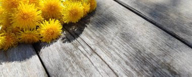 Köy tahtasında duran bir buket taze sarı karahindiba. Karahindiba hariç. Doku çiçek desenli. Gölge. Bahar buketi. Metin ve kartpostallar için yer.