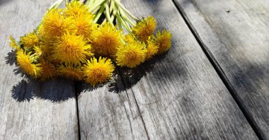 Köy tahtasında duran bir buket taze sarı karahindiba. Karahindiba hariç. Doku çiçek desenli. Gölge. Bahar buketi. Metin ve kartpostallar için yer.