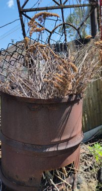 Evdeki çöpü yak. Çöpü varilde yakın. Çöpleri yakmak güvenlidir. Ateş, duman, ağaç dalları. Ekoloji kavramı.