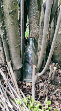 Ağaçların altındaki çöpler. Cam şişeler ağaçlara saçılmış. İnsan ve doğa hakkındaki kavram. Şişeler, konteynırlar, ekoloji. Fotoğraf işleme