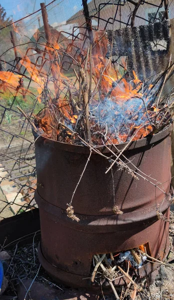 Burn the trash at home. Burn the trash in the barrel. It is safe to burn trash. Fire, smoke, tree branches. Ecology concept.