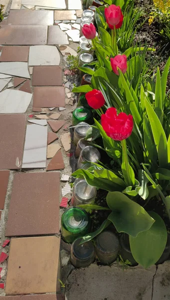 Senderos Jardín Con Flores Tulipanes Rojos Decoración Las Camas Con —  Fotos de Stock