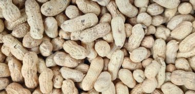 Kabuklu fıstıklar, arka plan. Fıstık yığını. Yakın plan..