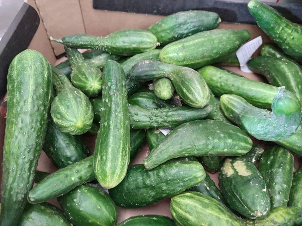 Çürük sebzeler. Sto 'da ikinci sınıf salatalık var.