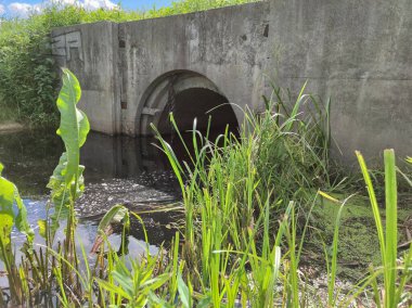 Küçük bir nehirde bir baraj, Belarus 'ta bir baraj..
