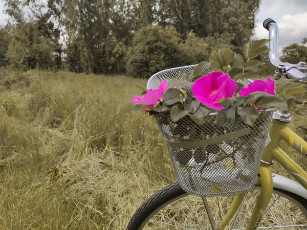 Rower Kosz Różowymi Kwiatami Tle Krajobrazu — Zdjęcie stockowe