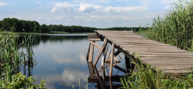 Yazın, ormanın göl kıyısındaki ahşap iskele manzarası..