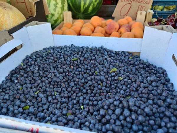 Blaubeeren Auf Dem Tresen Markt Mit Beeren Und Früchten — Stockfoto