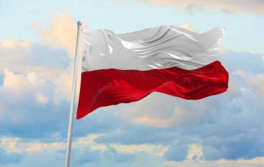 Rüzgarda dalgalanan büyük Polonya bayrağı