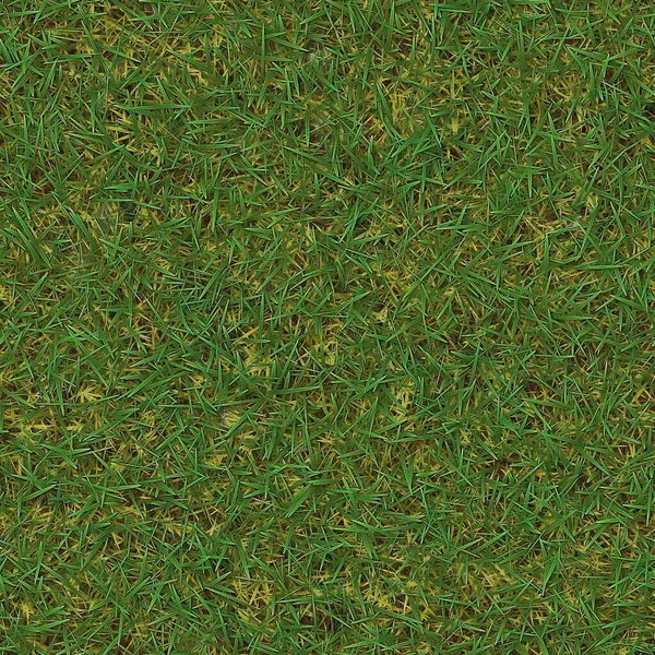 Płynne Zielone Trawy Naturalne Tło Widok Góry Trawniki Zielone Trawa — Zdjęcie stockowe