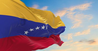 Rüzgarda dalgalanan büyük Venezuela bayrağı