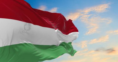 Rüzgarda dalgalanan büyük Macaristan bayrağı