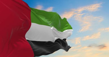 Rüzgarda dalgalanan Birleşik Arap Emirlikleri bayrağı