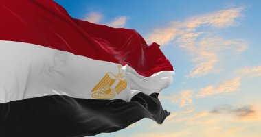 Rüzgarda dalgalanan Mısır bayrağı