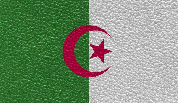 Vlakke Vlag Van Algerije Gedrukt Lederen Textuur Achtergrond Bovenaanzicht — Stockfoto