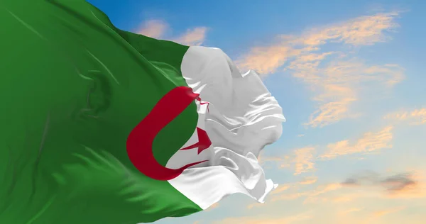 Gran Bandera Argelia Ondeando Viento — Foto de Stock