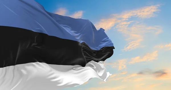Velká Estonská Vlajka Vlající Větru — Stock fotografie