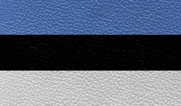 Bandera Plana Estonia Impresa Sobre Fondo Textura Cuero Vista Superior —  Fotos de Stock