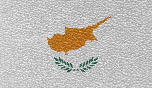 Lapos Zászló Ciprus Nyomtatott Bőr Textúra Háttér Felülnézet — Stock Fotó