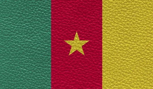 Drapeau Plat Cameroun Imprimé Sur Fond Texture Cuir Vue Dessus — Photo