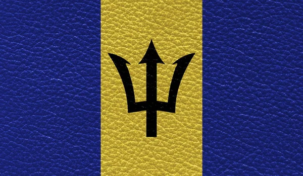 Bandera Plana Barbados Impresa Sobre Fondo Textura Cuero Vista Superior —  Fotos de Stock