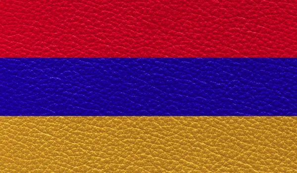 Bandiera Piatta Armenia Stampato Sfondo Texture Pelle Vista Dall Alto — Foto Stock